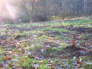 26.nov 2014