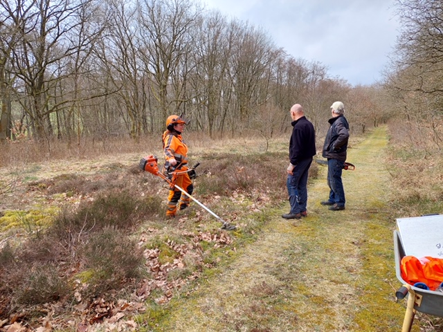 image1-3
